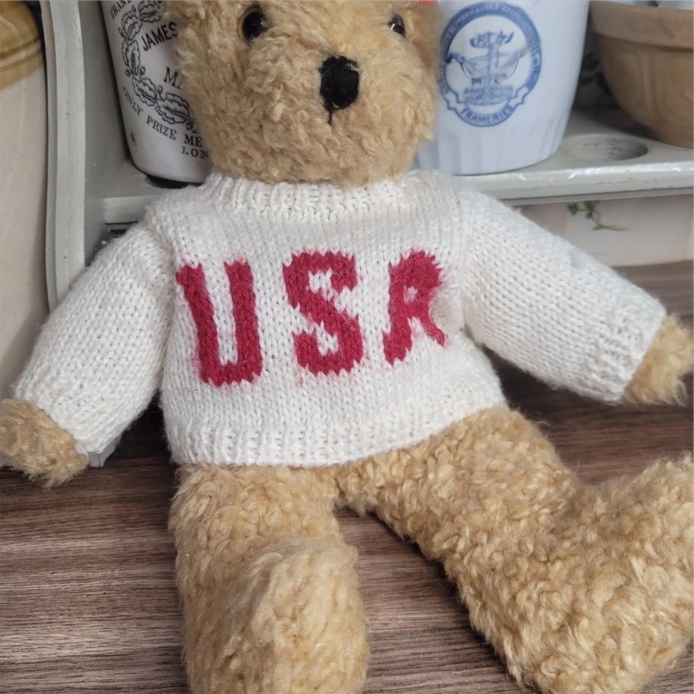 Knit USA Teddy Bear Sweater